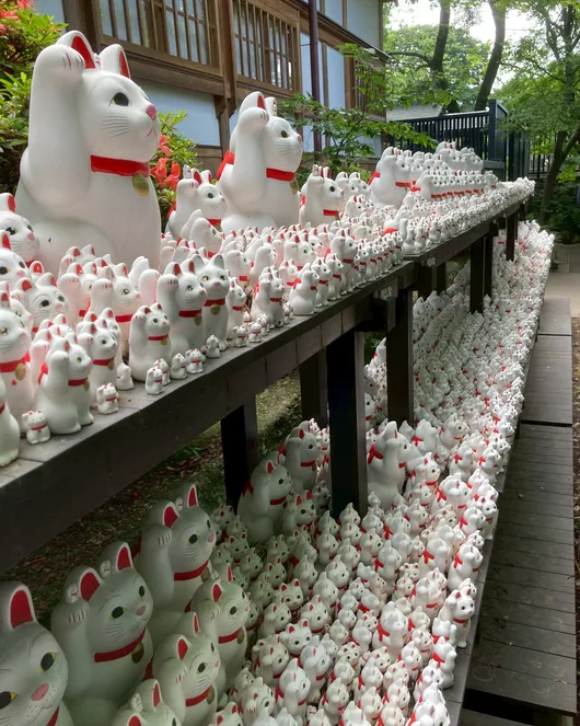 猫咪之旅(4~5人)