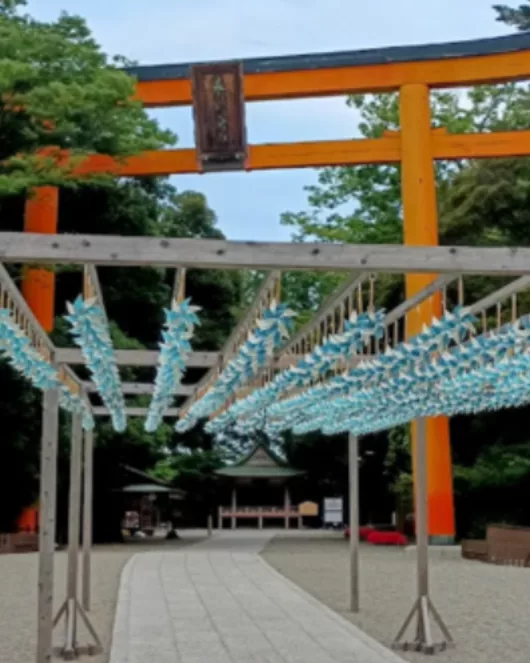 川越日帰りトリップ（１人）