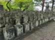 Tokyo Amaze Day Trips 4